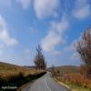 Motorcycle Road 16-to-reghin- photo